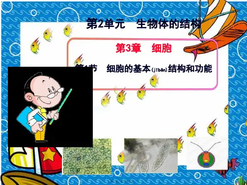 七年级生物上册第二单元生物体的结构第3章细胞第1节细胞的基本结构和功能2