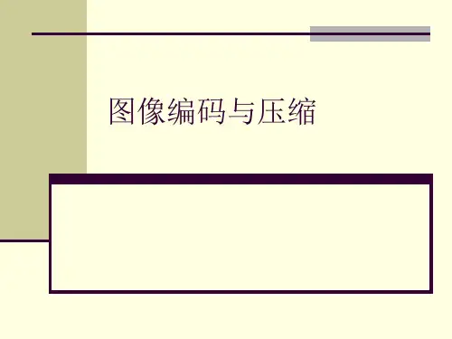 图像编码与压缩资料