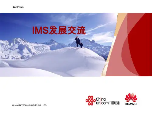 华为IMS交流汇报