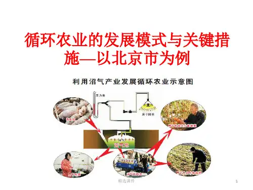 循环农业的发展模式与关键措施