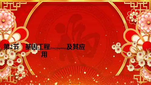 高中生物 第6章 从杂交育种到基因工程 第2节 基因工程及其应用课件 高中生物课件