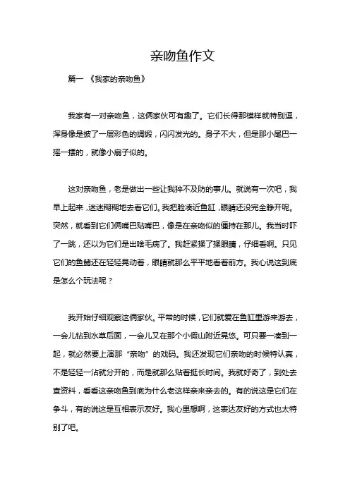 亲吻鱼作文