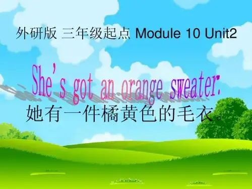 Module 10 Unit 2 She's got an orange sweater.
