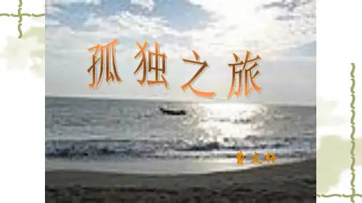16《孤独之旅》精品PPT课件