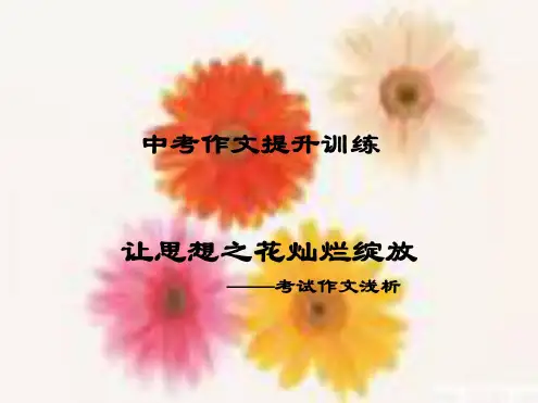语文:中考作文提升训练课件