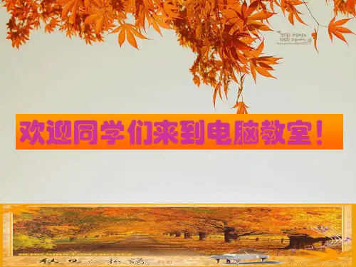 活动1美化照片秀风采