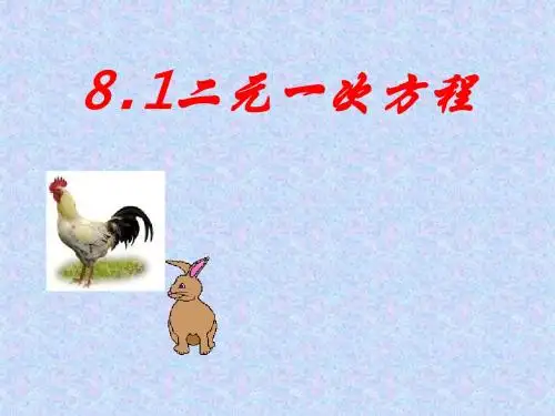 二元一次方程组(全)