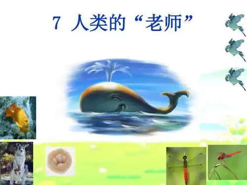 7《人类的老师》PPT课件