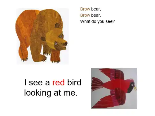 Brown bear绘本