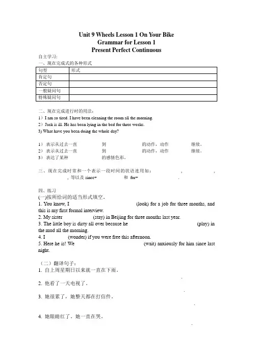 unit9 lesson1 Grammar