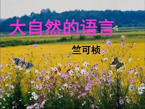16 大自然的语言