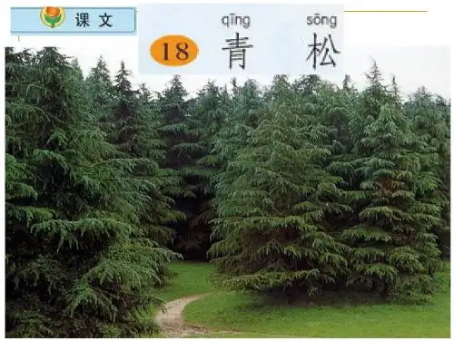 青松