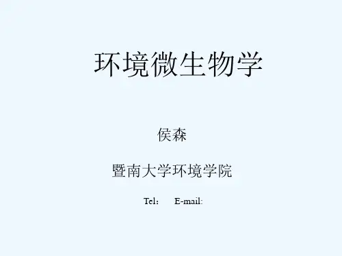 地下水污染的生物修复技术暨南大学