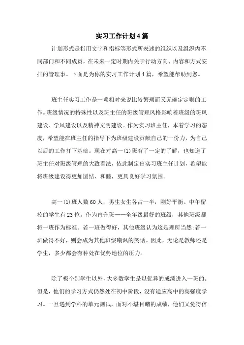 2020年实习工作计划4篇