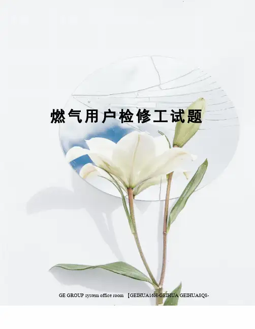 燃气用户检修工试题
