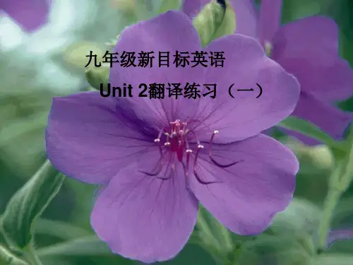 u2翻译答案-(www.)(新编2019教材)