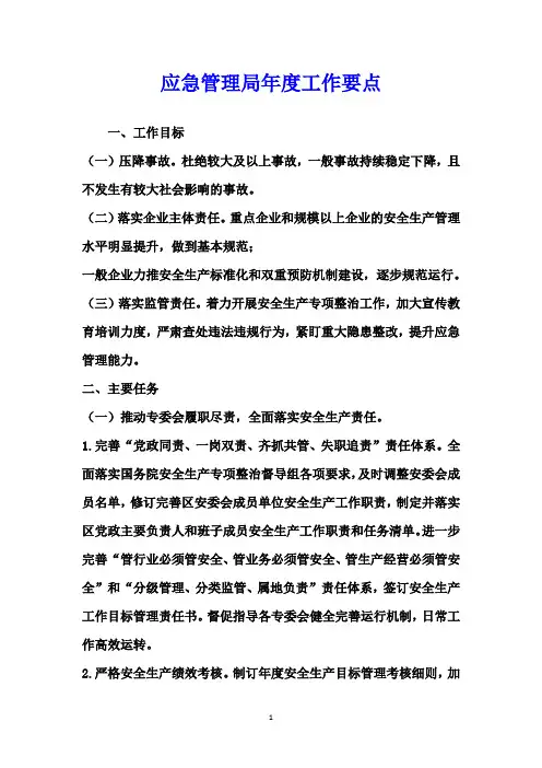 应急管理局年度工作要点