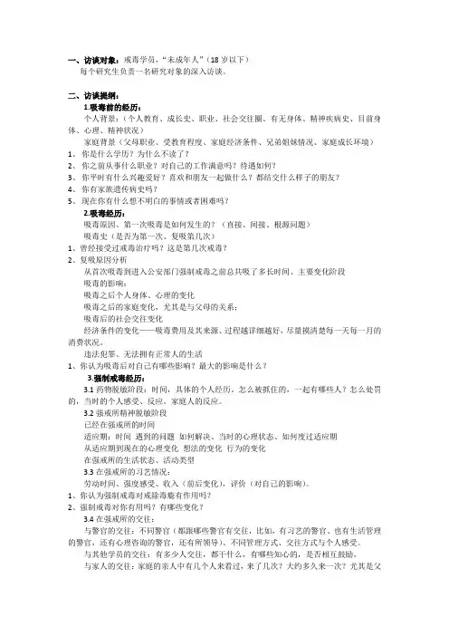 青少年吸毒人员访谈提纲