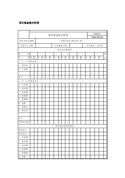 项目现金流分析表