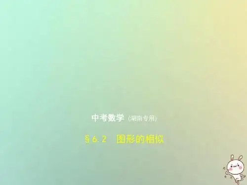 湖南专版2019年中考数学一轮复习第六章空间与图形6.2图形的相似试卷部分