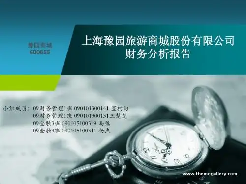 财务分析