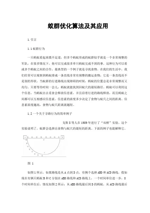 蚁群优化算法及其应用
