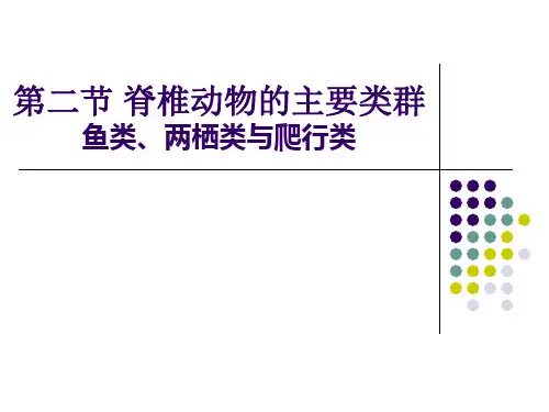 脊椎动物主要类群