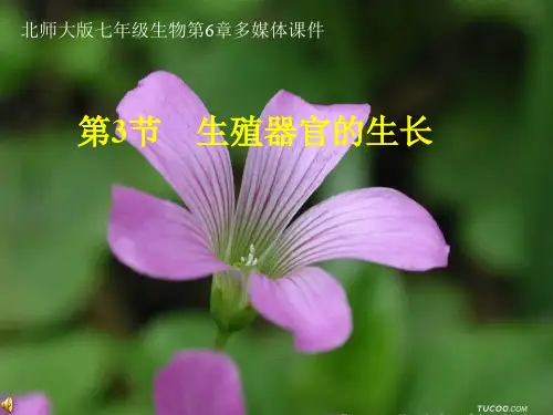 七年级生物花的结构解析