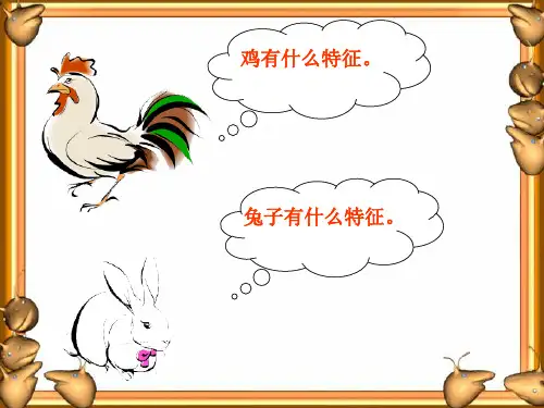 人教版《鸡兔同笼》