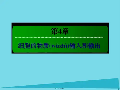 讲与练高中生物第4章细胞的物质输入和输出4.3物质跨膜运输的方式课件新人教版必修1