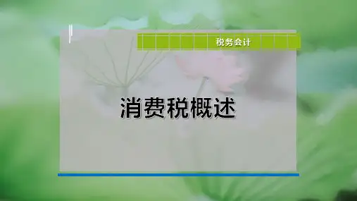 消费税概述