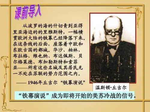 14、冷战中的对峙