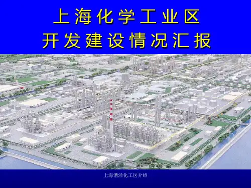 上海漕泾化工区介绍 ppt课件