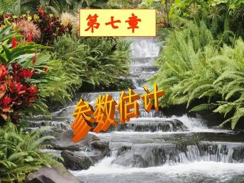 第二节  极大似然估计(概率论与数理统计)