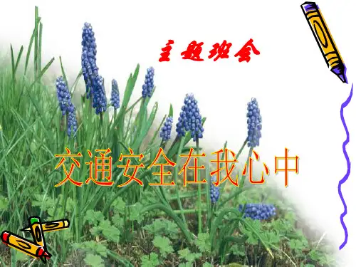 主题班会交通安全在我心中51244