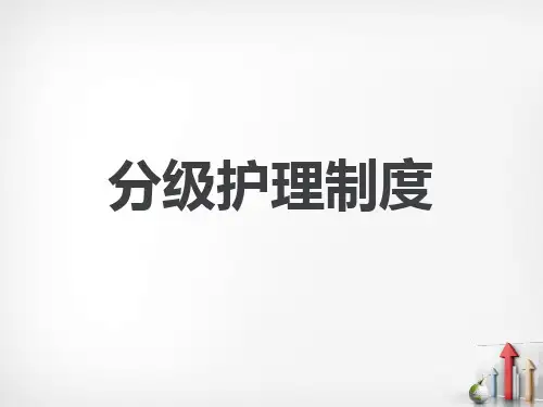分级护理制度  ppt课件