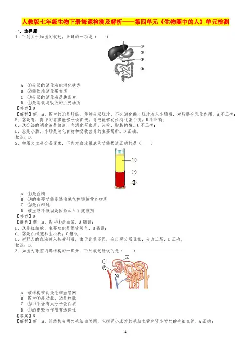人教版七年级生物下册每课检测及解析——第四单元《生物圈中的人》单元检测