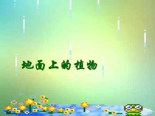 七年级生物下册第五单元第11章地面上的生物第1节地面上的植物课件3(新版)苏科版