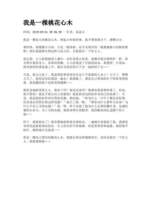 我是一棵桃花心木