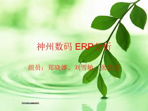 神州数码 ERP分析