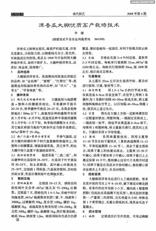 洋香瓜大棚优质高产栽培技术