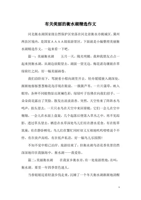 有关美丽的衡水湖精选作文