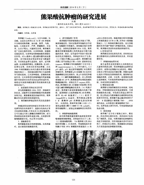 熊果酸抗肿瘤的研究进展
