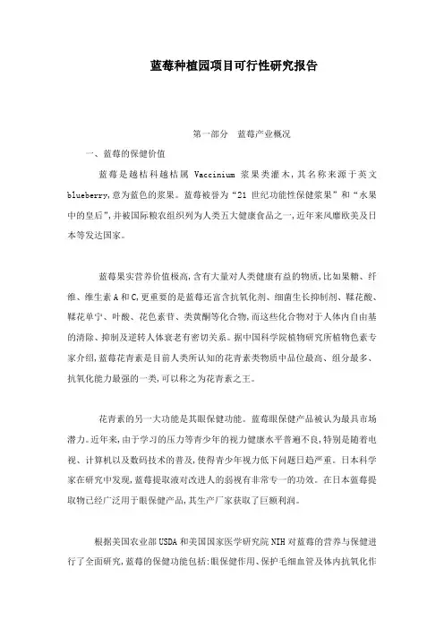蓝莓种植园项目可行性研究报告