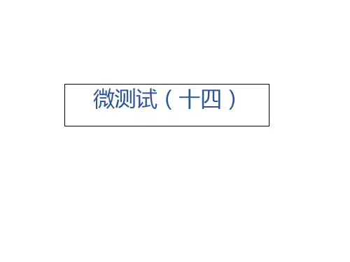微测试(十四)—2020秋沪科版九年级物理上册习题课件
