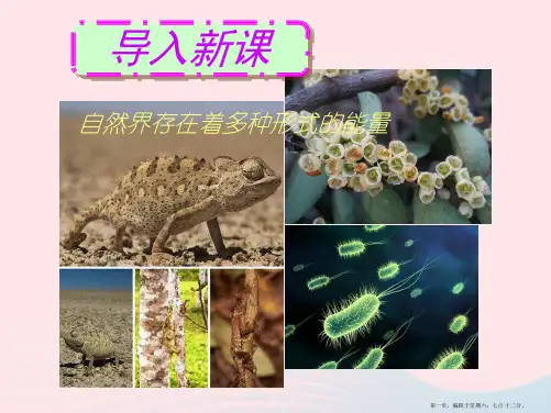 九年级物理下册20.3能的转化与能量守恒课件新版粤教沪版