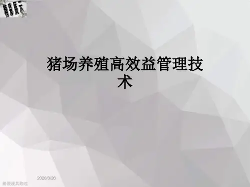 猪场养殖高效益管理技术