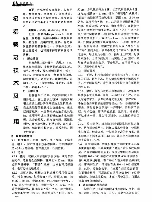杞柳栽培技术及应用