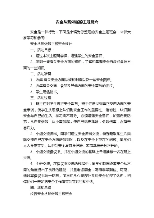 安全从我做起的主题班会