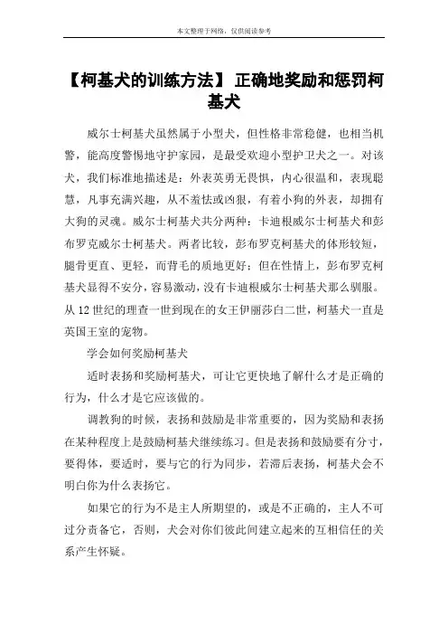【柯基犬的训练方法】 正确地奖励和惩罚柯基犬